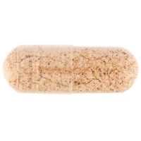 Terranova Probiotic Complex with Prebiotics